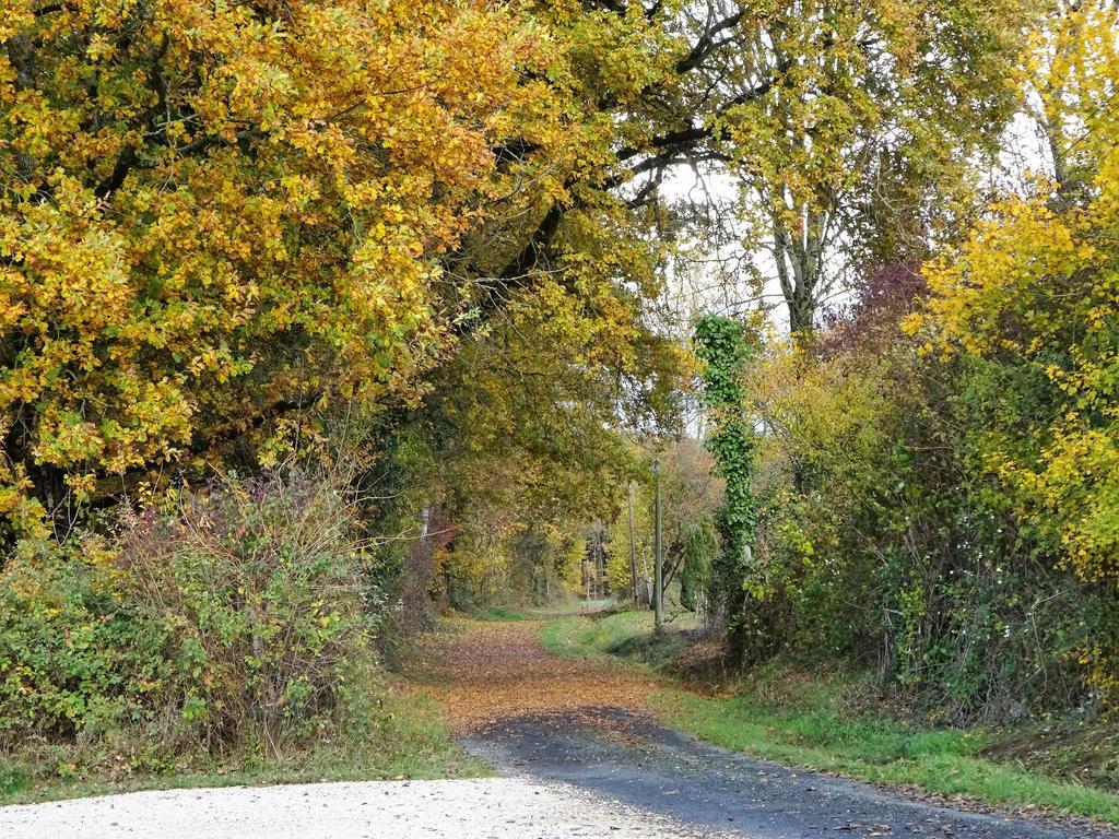 Les Chaumieres Du Chene Hotel Pouille  ภายนอก รูปภาพ